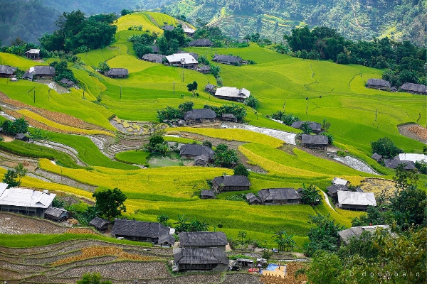 7D6N Hagiang - Du Gia - Meo Vac - Cao Bang - Ban Gioc Waterfall Tour - photo 61